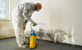 Mold Remediation for Vacation Homes in Fort Pierre, SD